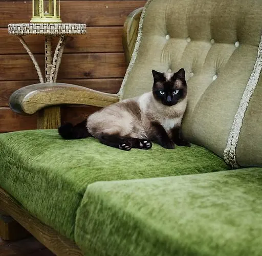 Namelis Prie Magnolijos Druskininkai