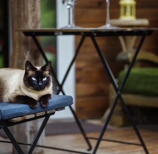 Kwatera prywatna Namelis Prie Magnolijos