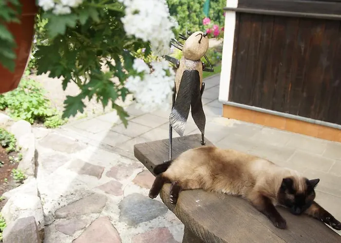 Namelis Prie Magnolijos Kwatera prywatna *